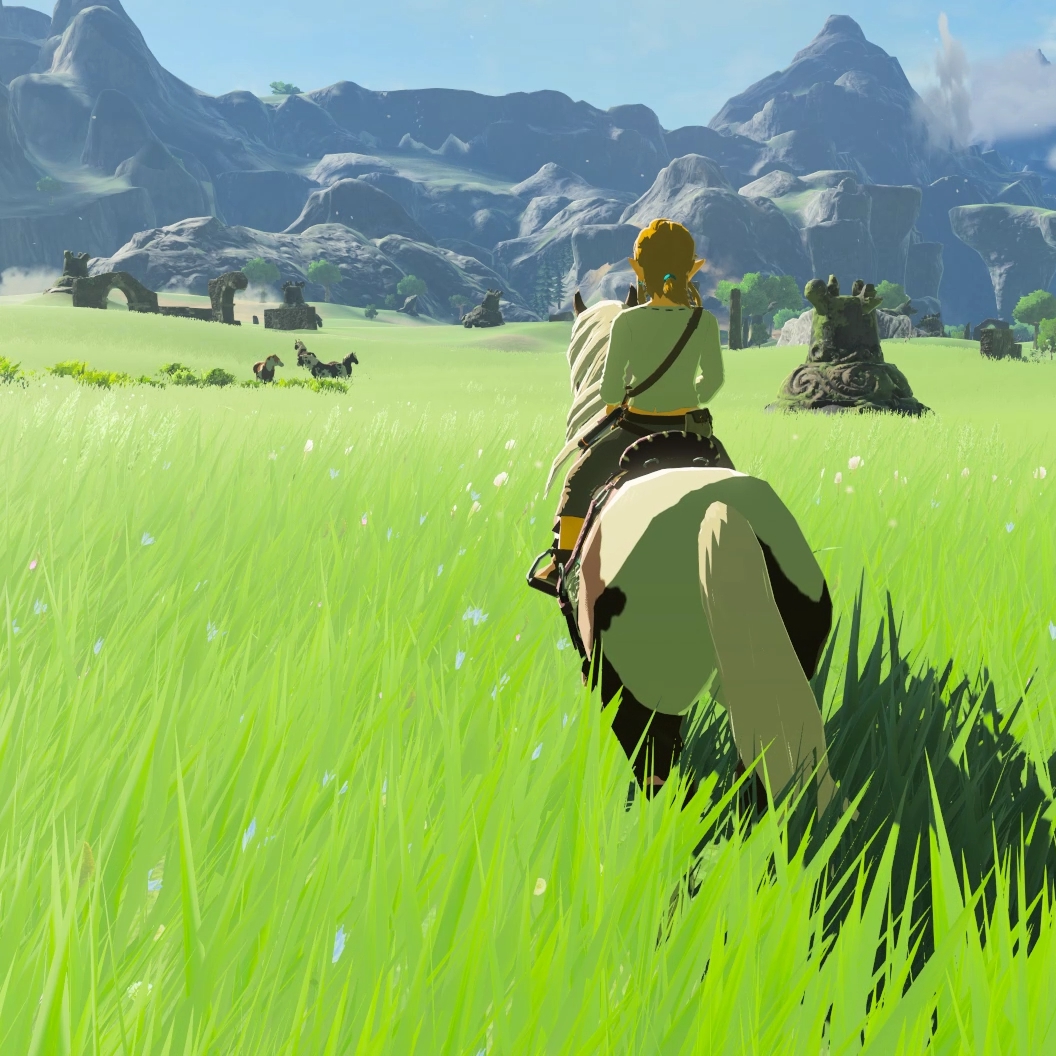 Grassland - HD Wallpaper 