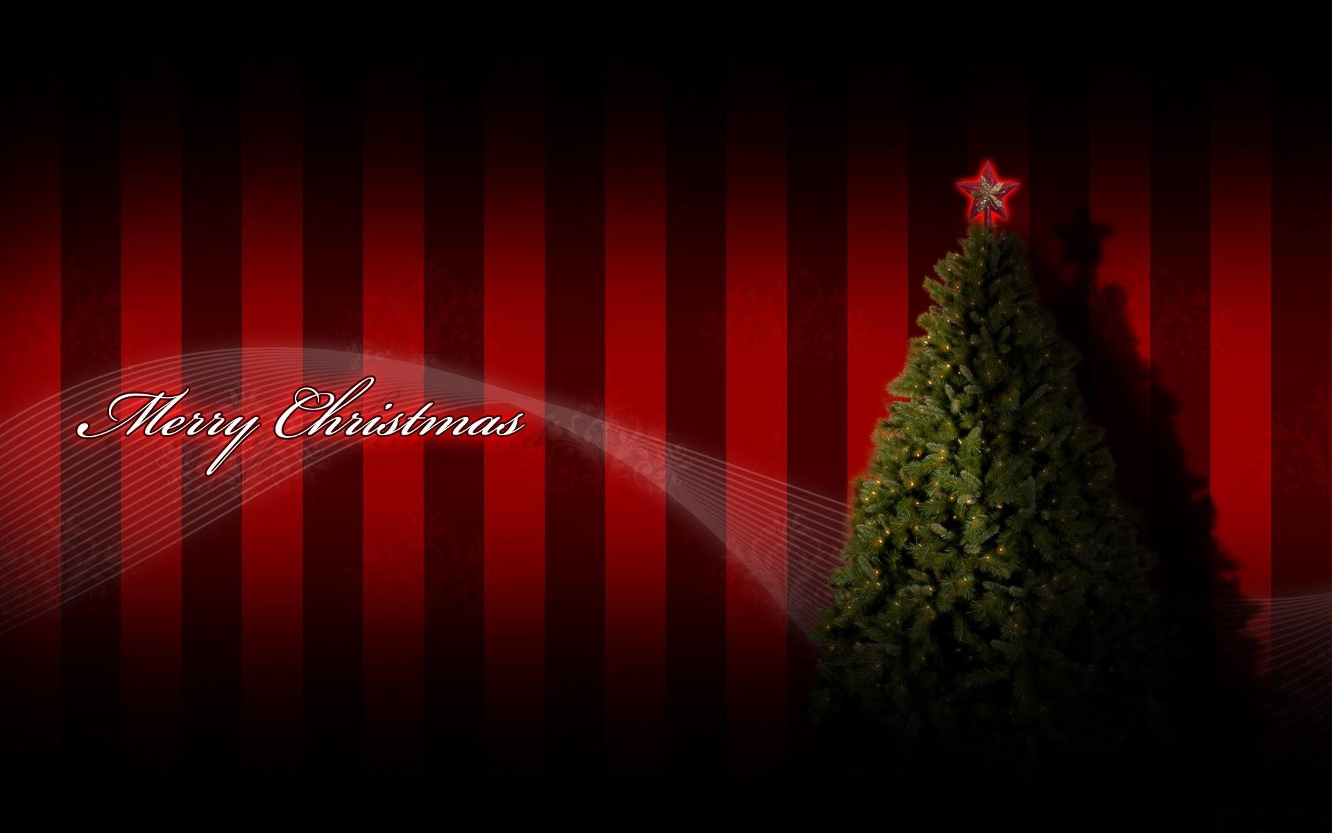 Wallpaper Tree, Garland, Star, Holiday, Christmas, - Christmas Theme Wallpaper Hd In Red - HD Wallpaper 