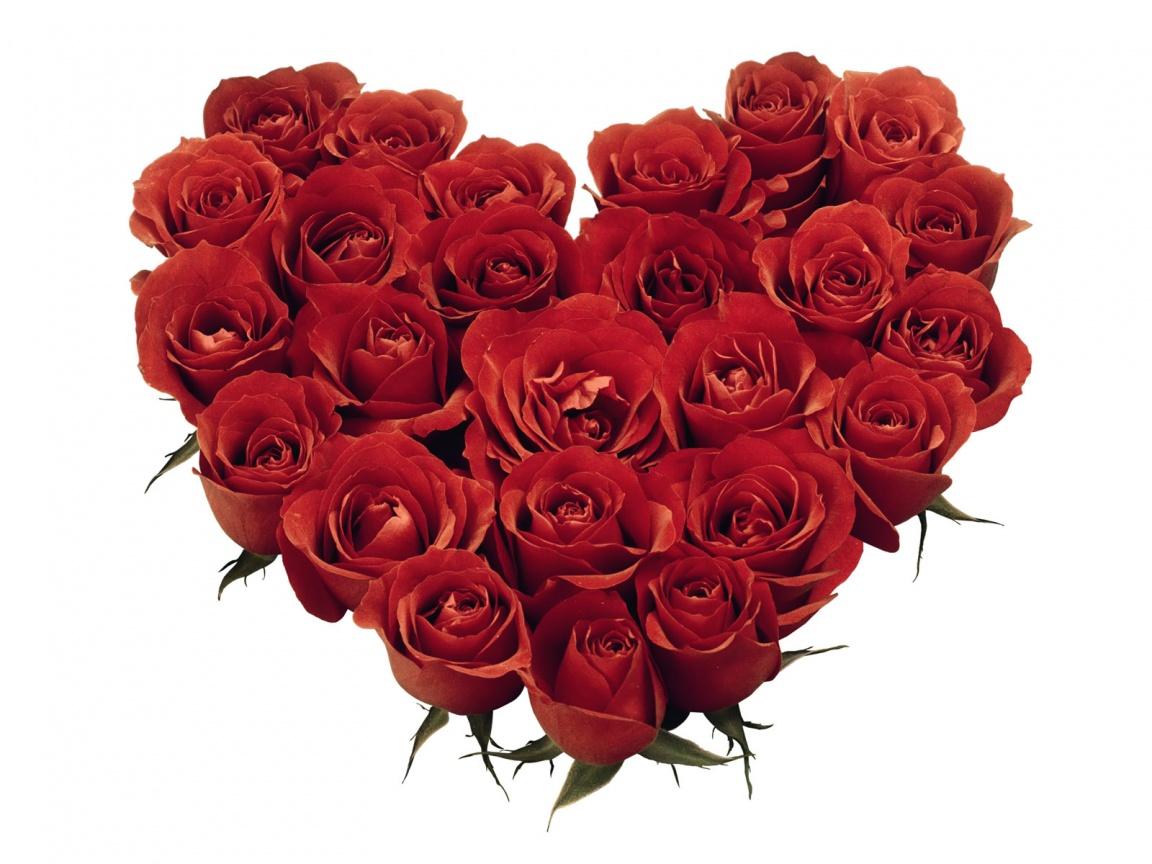 Download Gratis Wallpapers - Heart Shape Red Roses - HD Wallpaper 
