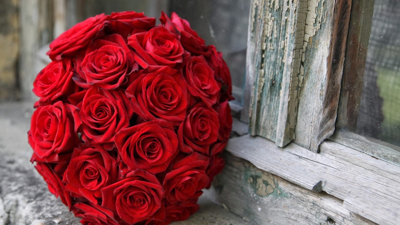 Red Rose Buke Hd - 1600x900 Wallpaper - teahub.io