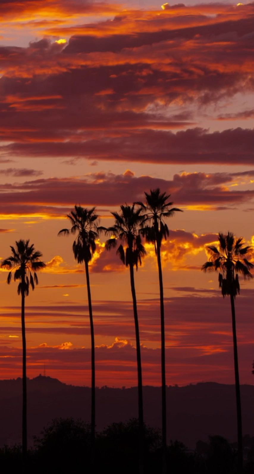 Live Wallpapers Sunset Iphone - 854x1590 Wallpaper Live Wallpapers Sunset Iphone - 854x1590 Wallpaper