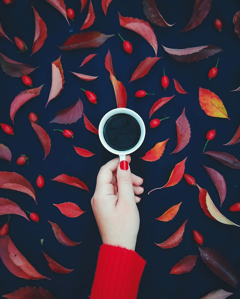 Daun Kopi Merah - HD Wallpaper 