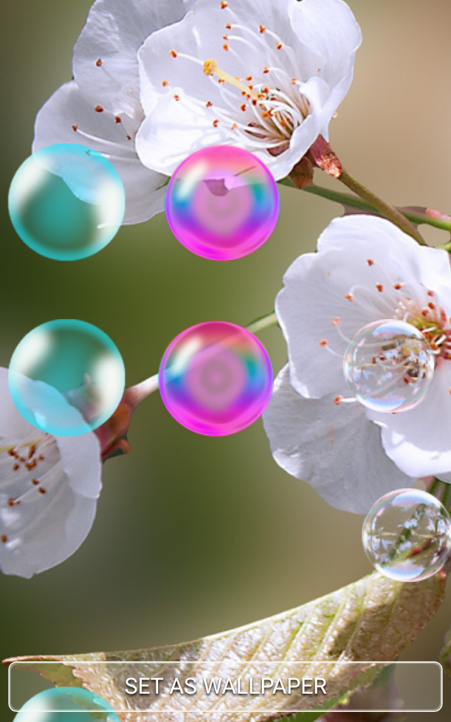 Floral Design - HD Wallpaper 