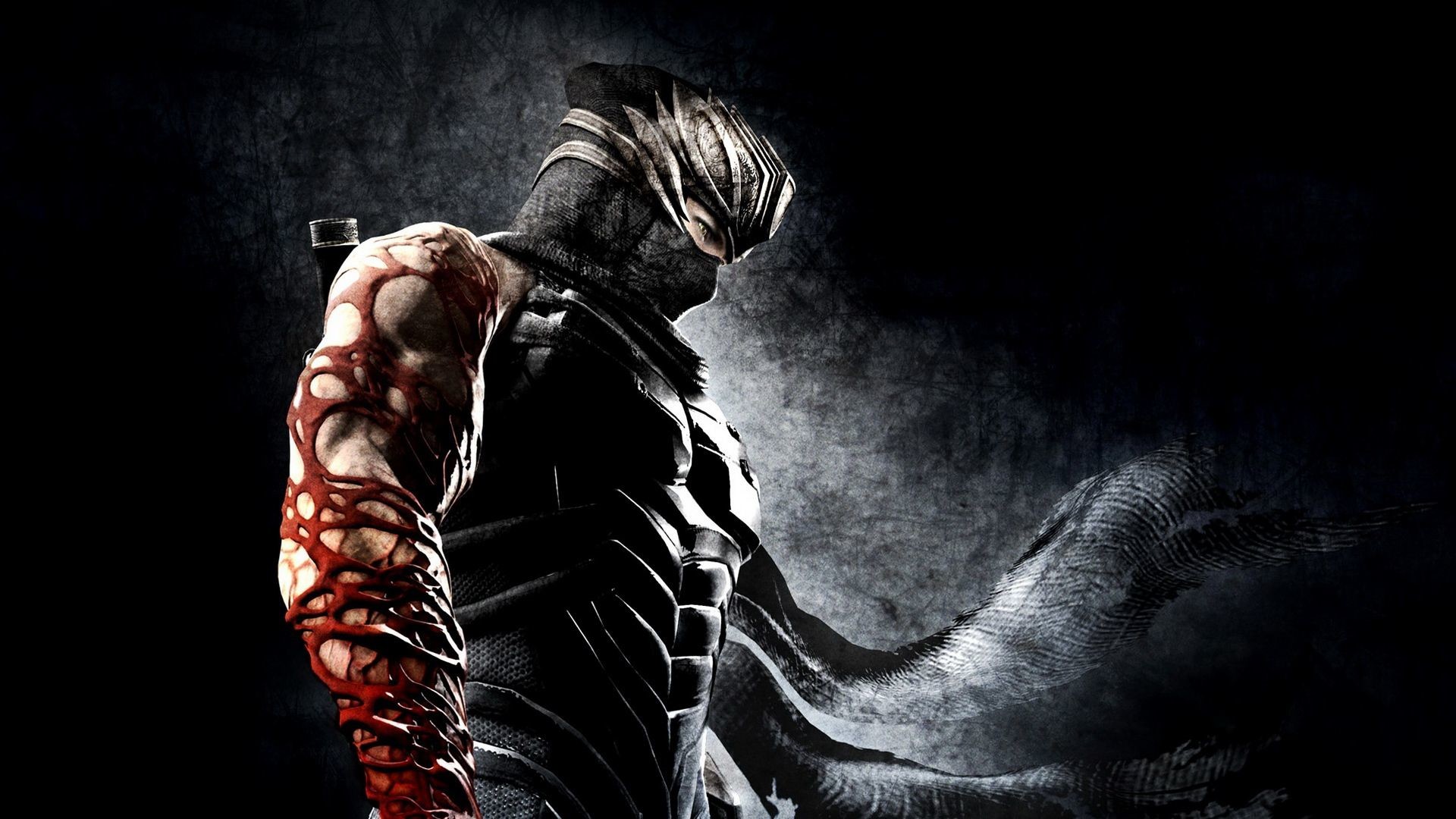 Anime Ninja Boy Hd Desktop Wallpaper - Ninja Gaiden - HD Wallpaper 