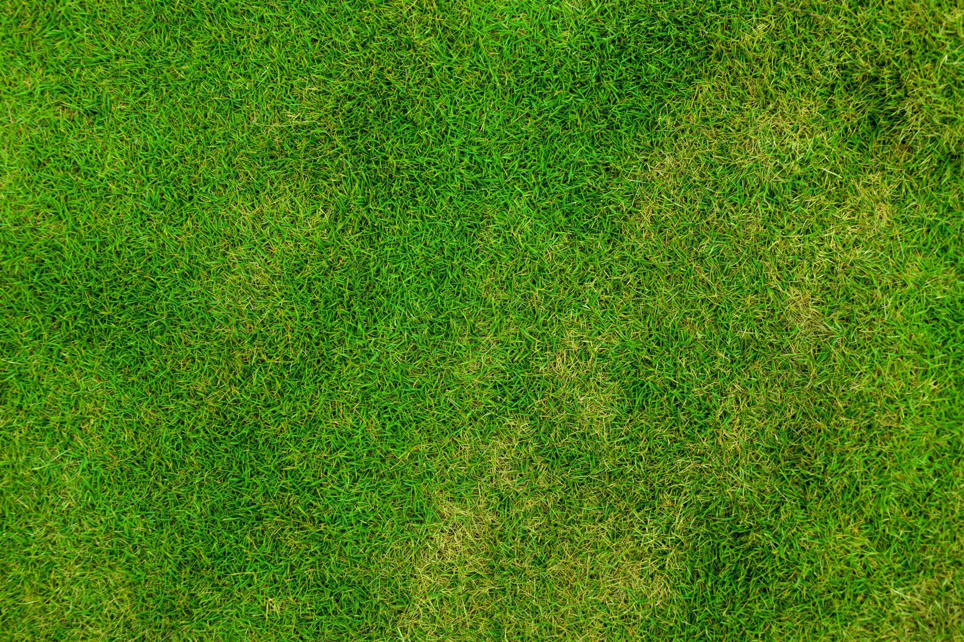 Grass Pattern - HD Wallpaper 