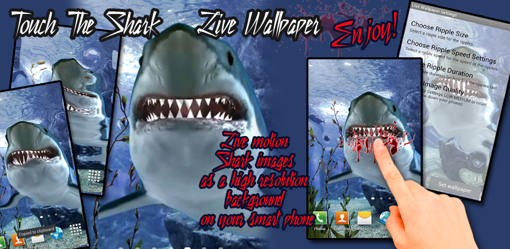 Great White Shark - HD Wallpaper 