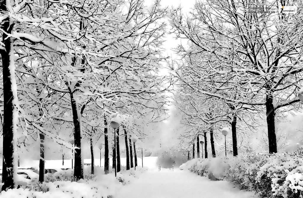 Winter Imagery - HD Wallpaper 