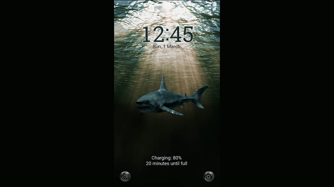 Echo Sharks Live - HD Wallpaper 