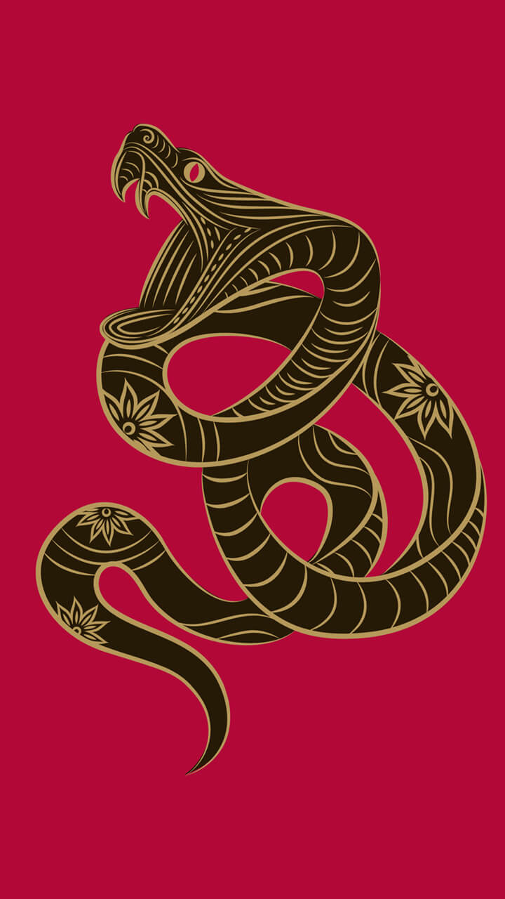 Snake Vector - HD Wallpaper 