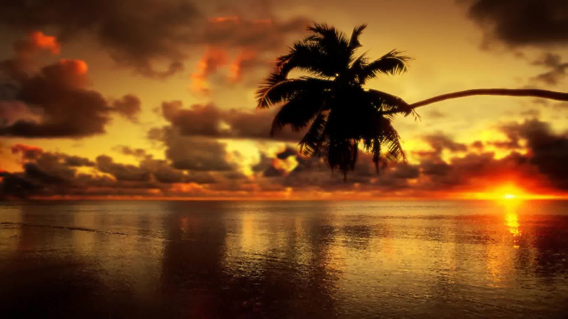 Most Beautiful Beach Sunset - HD Wallpaper 