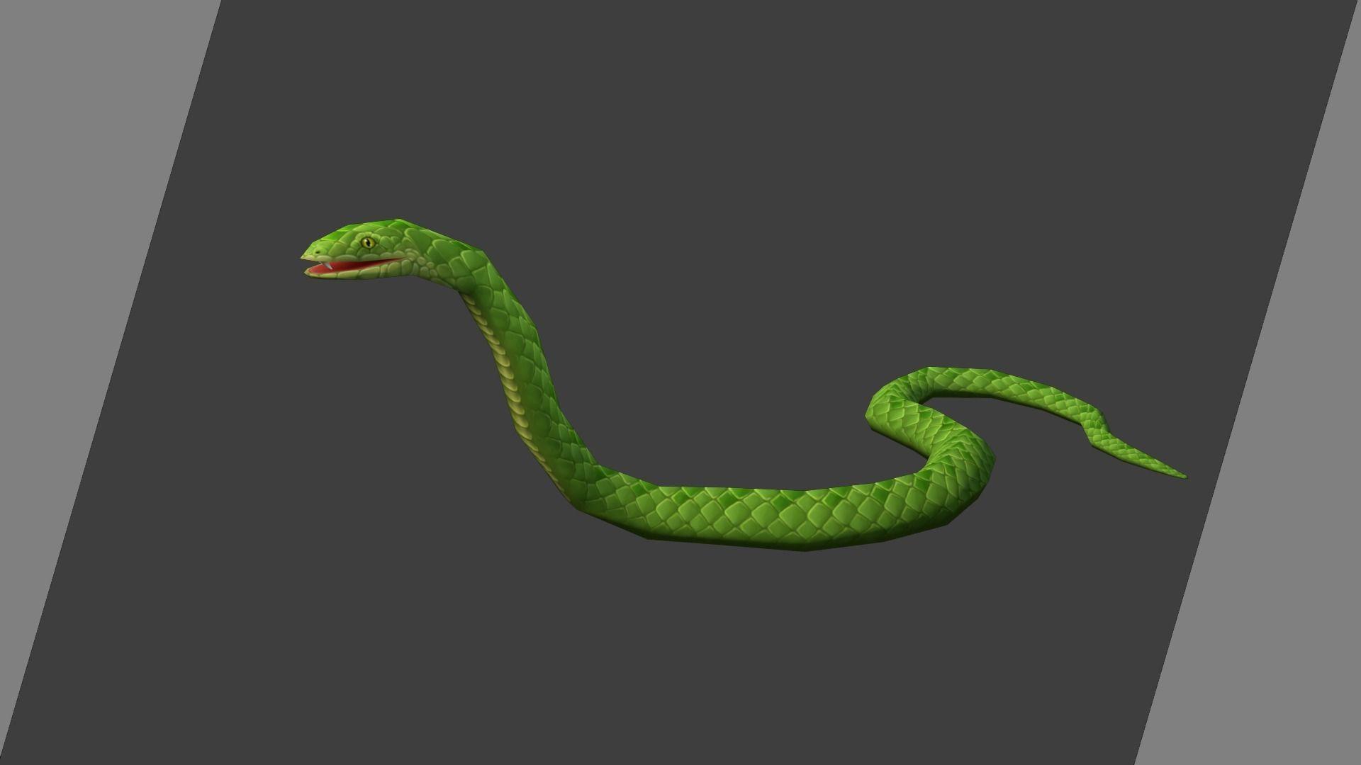 D Animated Snake Live Wallpaper ✓ Wallpaper O - Pit Viper - HD Wallpaper 