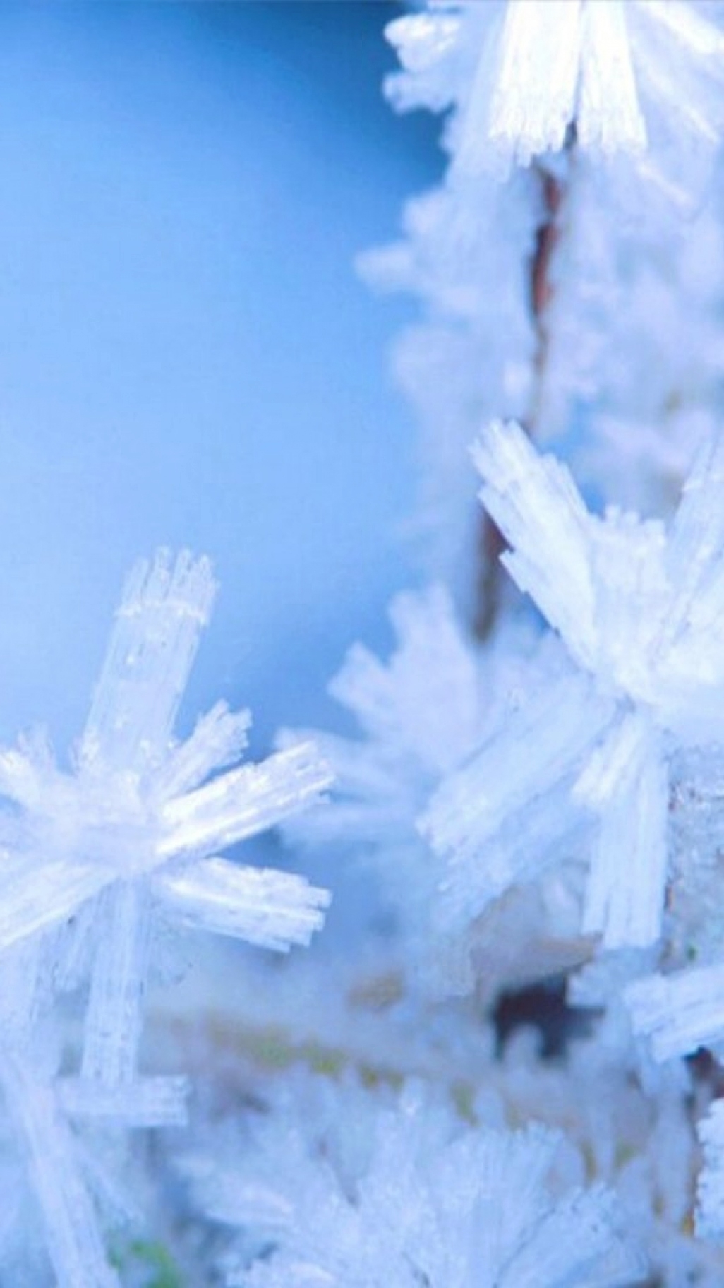Winter Scene Iphone Wallpaper - Free Winter Christmas Scene - 1026x1824 Wallpaper Winter Scene Iphone Wallpaper - Free Winter Christmas Scene - 1026x1824 Wallpaper