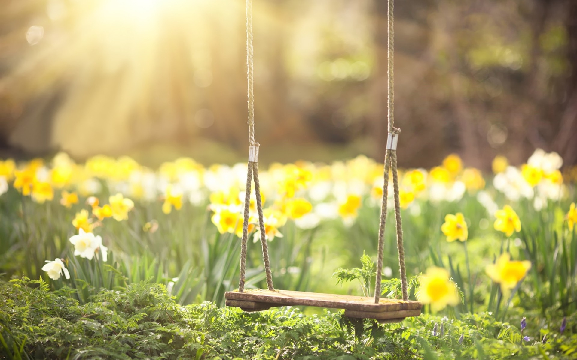 Swing - Spring Backgrounds Swing - HD Wallpaper 
