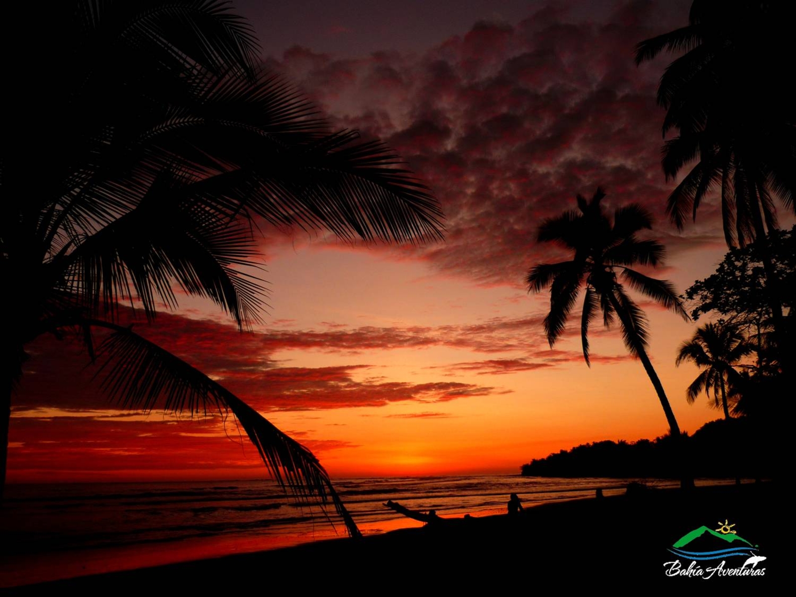 Sunset - HD Wallpaper 