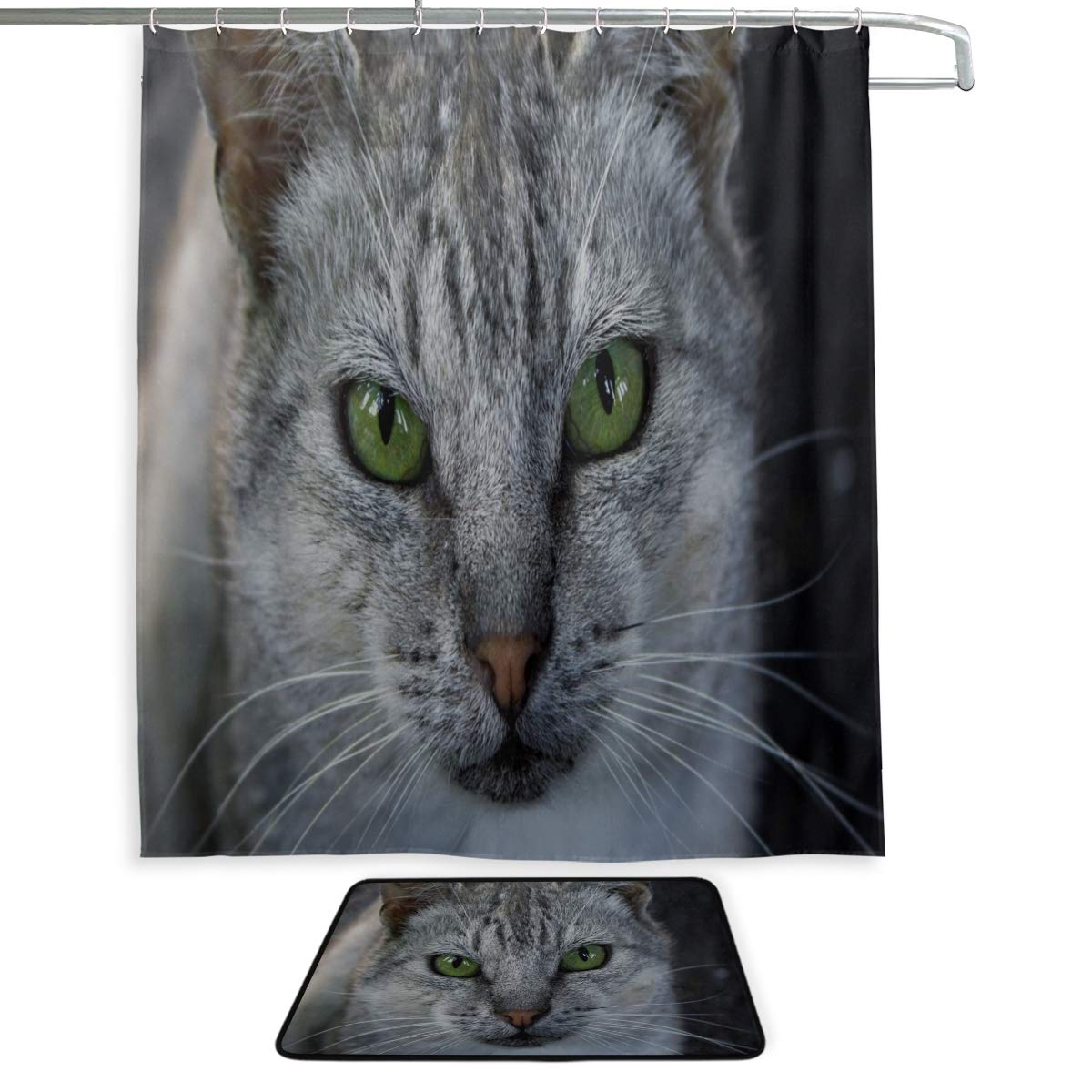 Tabby Cat - HD Wallpaper 