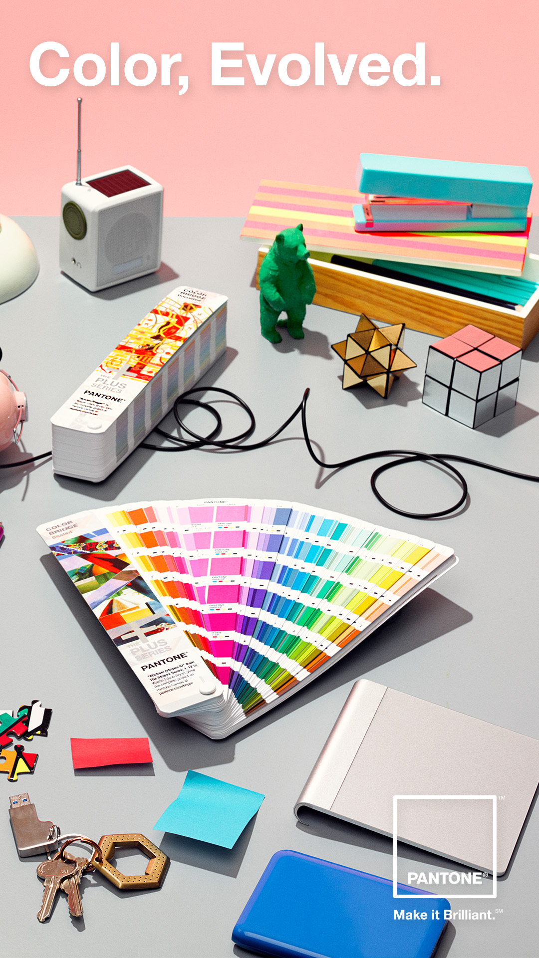 Color - HD Wallpaper 