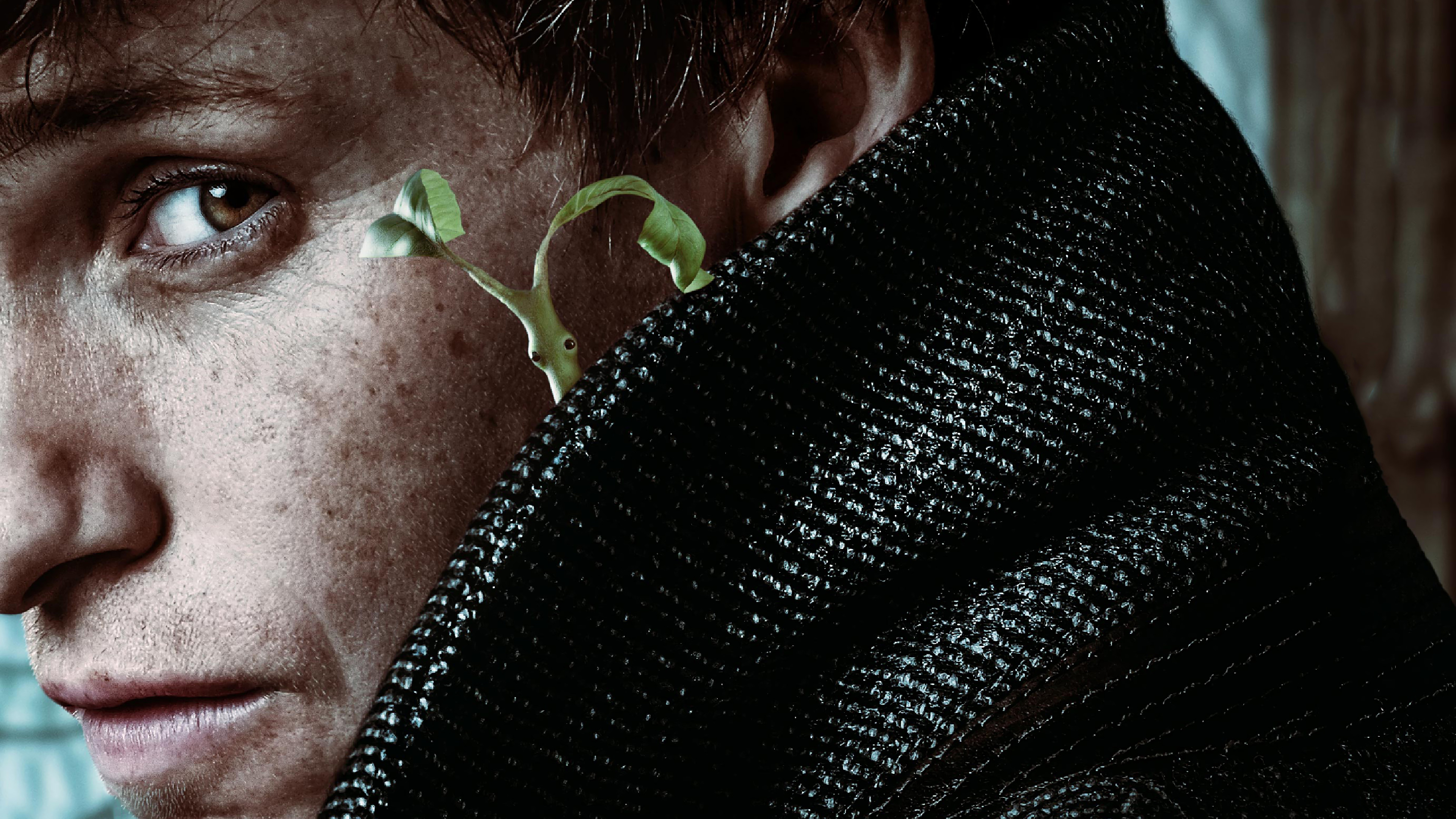 Eddie Redmayne Wallpaper - HD Wallpaper 