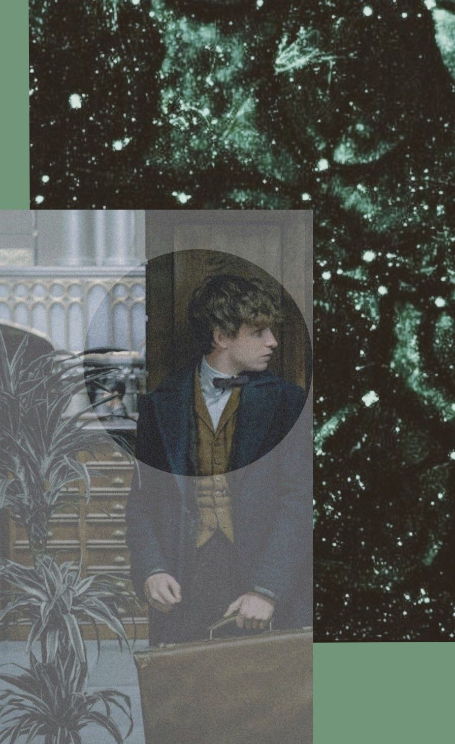 Newt Scamander Lockscreen - HD Wallpaper 