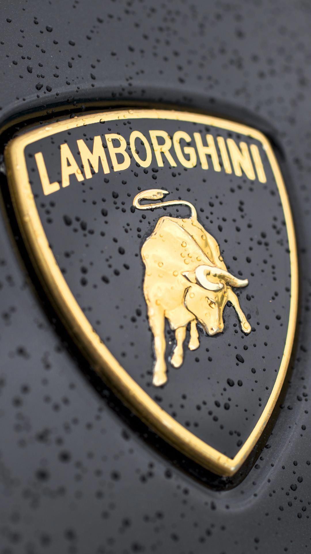 Lamborghini Logo On Car - HD Wallpaper 