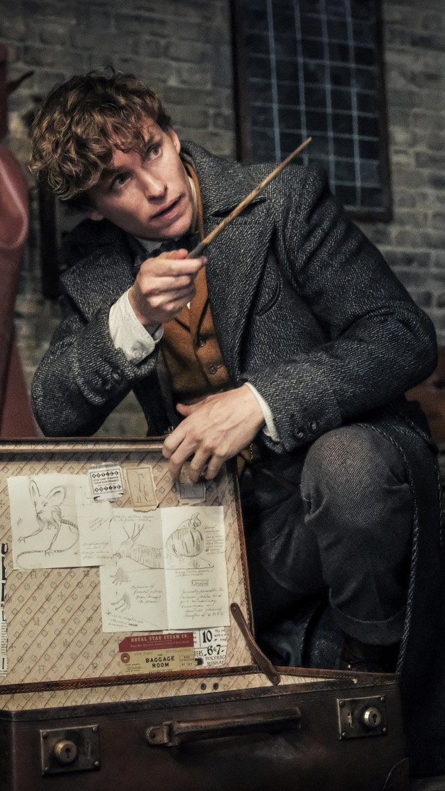 Newt Scamander Wallpaper Iphone - HD Wallpaper 