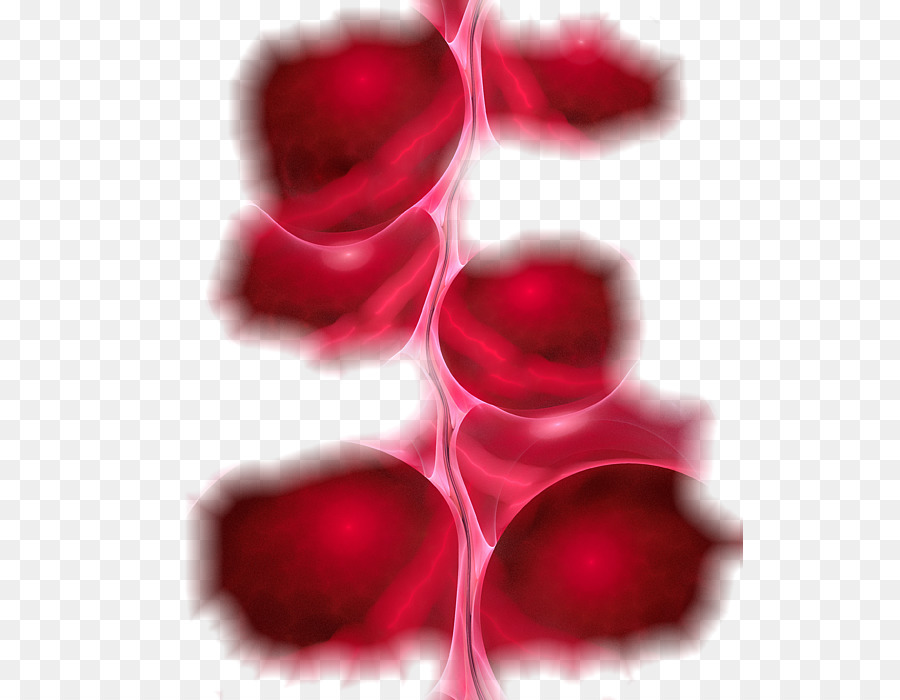 Sfondo Per Il Desktop Del Computer Close Up Wallpaper - Rose - HD Wallpaper 