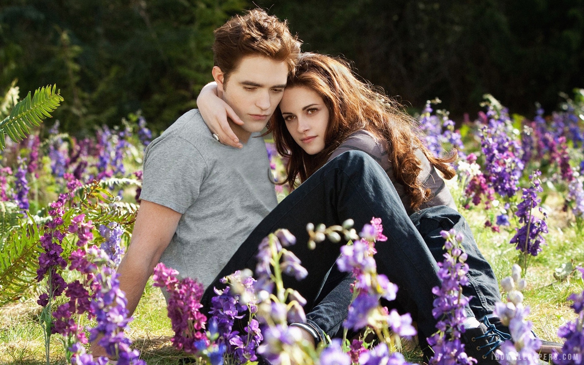 Robert Pattinson And Kristen Stewart In Twilight - HD Wallpaper 