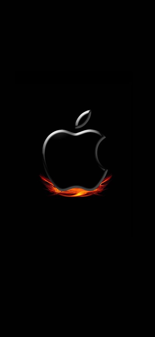 327293 iPhone 11 Apple Logo Black HD  Rare Gallery HD Wallpapers