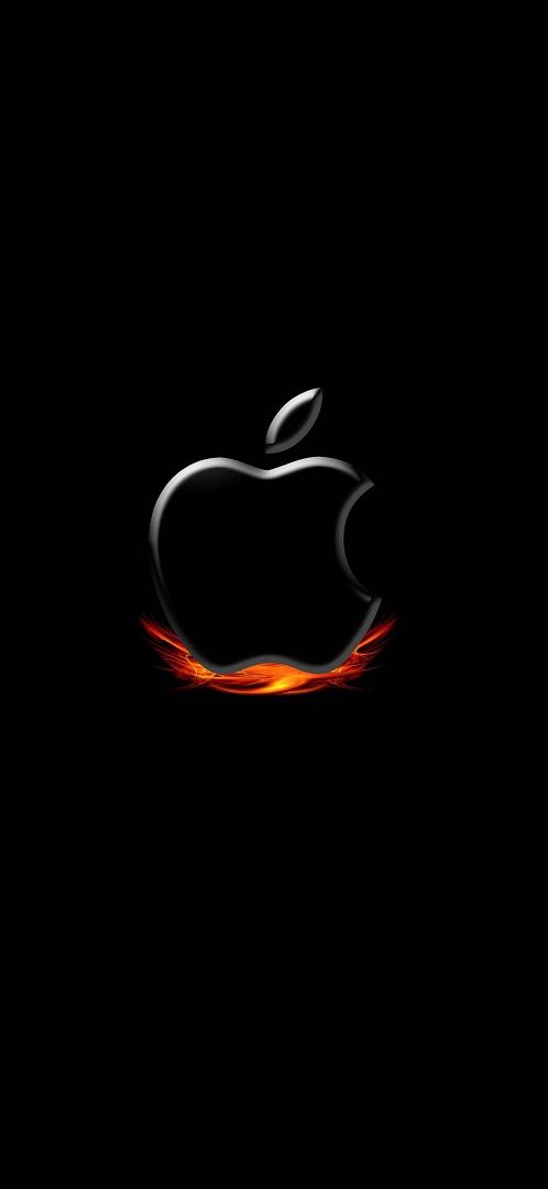 Top 93+ about apple wallpaper iphone 11 126 327293 iPhone 11 Apple Logo Black HD Rare Gallery HD Wallpapers