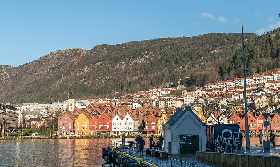 Buildings Near Body Of Water At Daytime, Bergen, Norway, - Bergen - HD Wallpaper 