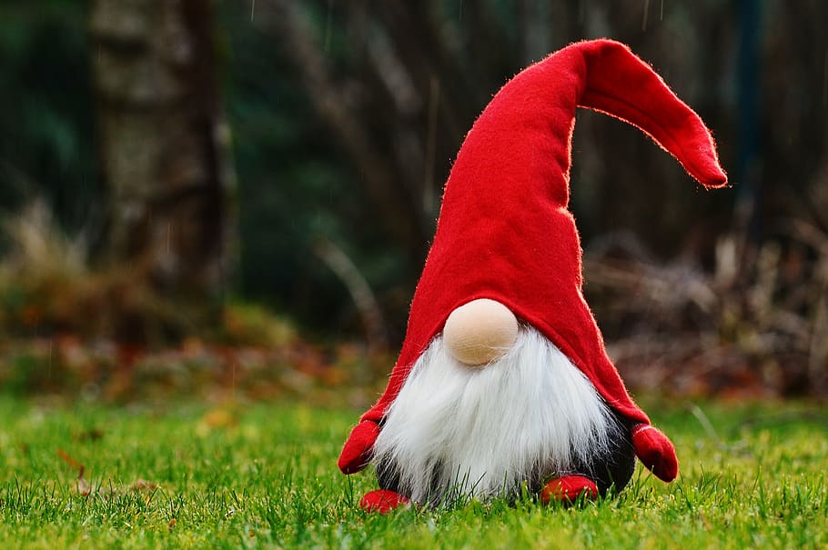 Red Dwarf On Grass Photo, Imp, Funny, Cute, Sweet, - HD Wallpaper 