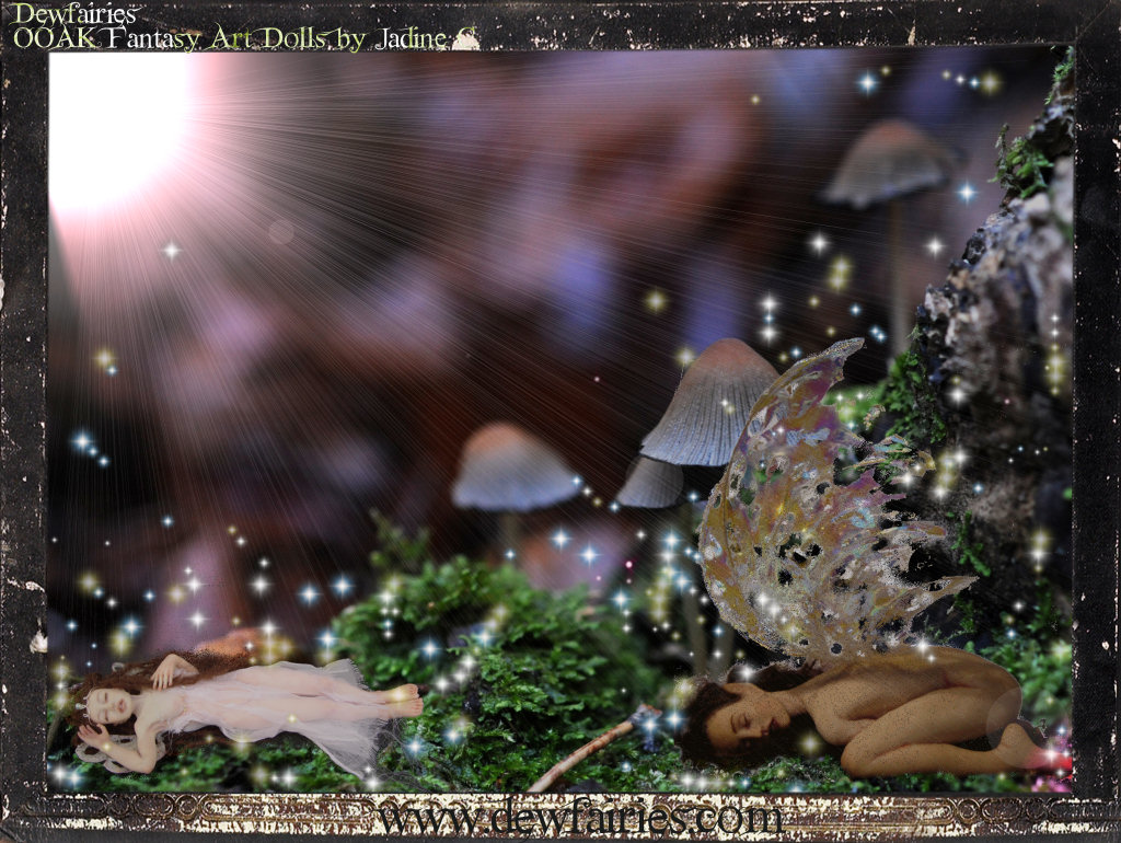 Christmas Lights - HD Wallpaper 