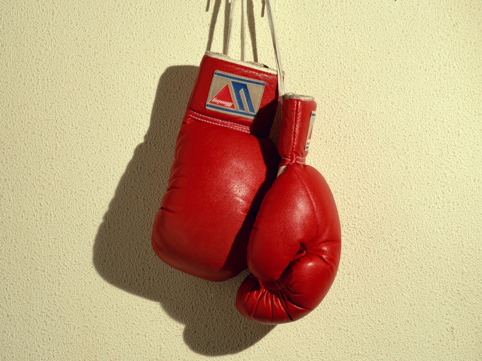 Boxing Gloves Background Widescreen - Winning Boxing Gloves - 1600x1200 Wallpaper Boxing Gloves Background Widescreen - Winning Boxing Gloves - 1600x1200 Wallpaper