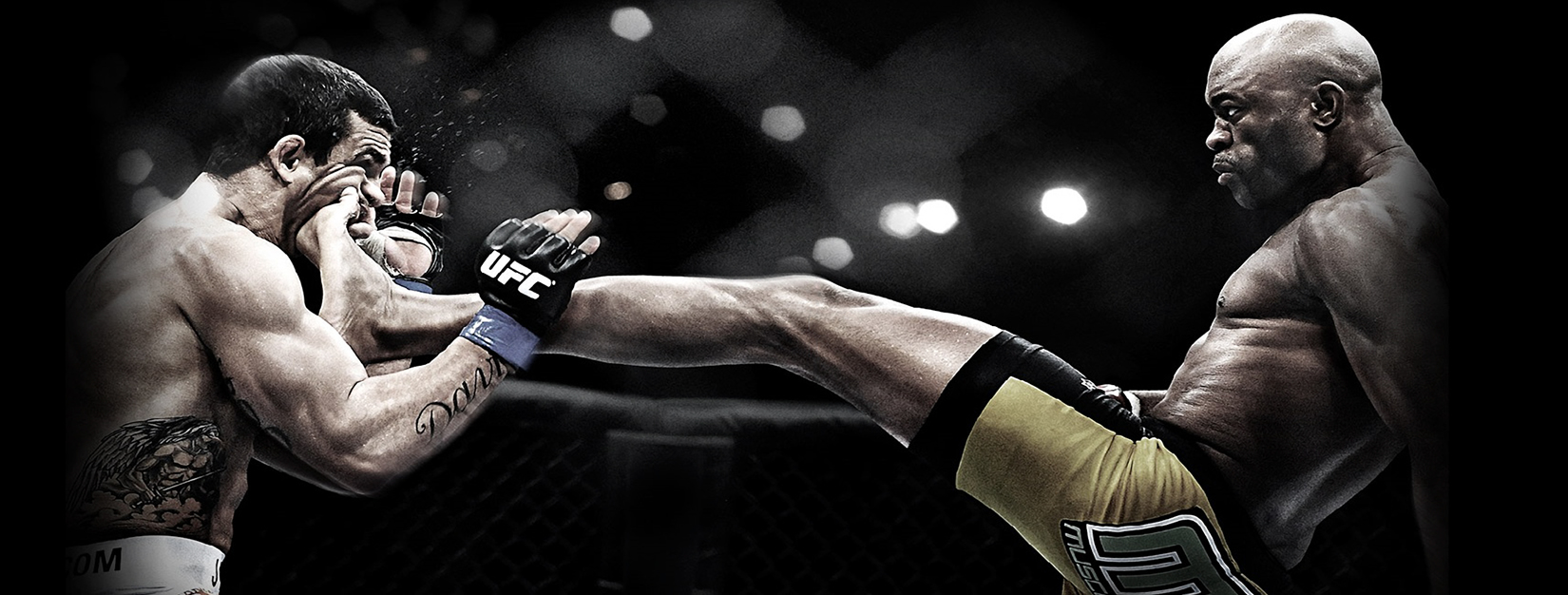 Ultimate Fighting Championship - HD Wallpaper 