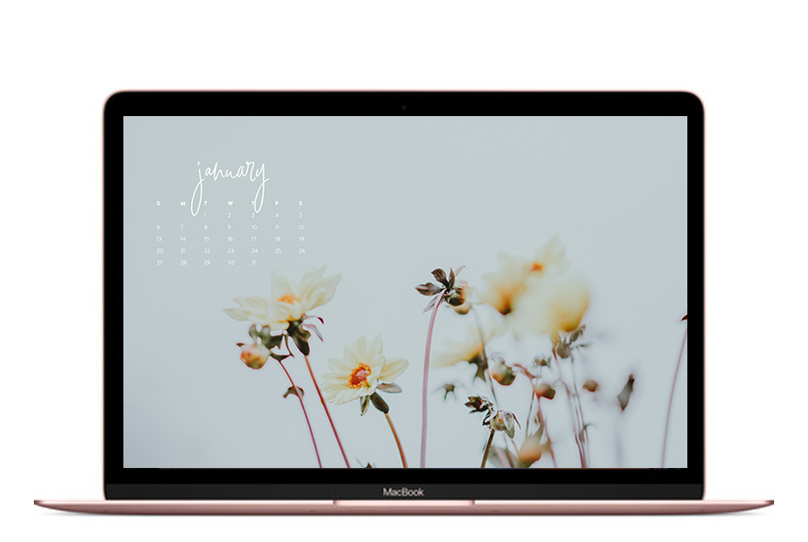 Free Wallpapers For Your Phone, Tablet & Computer With - Too Often We Underestimate The Power - HD Wallpaper 