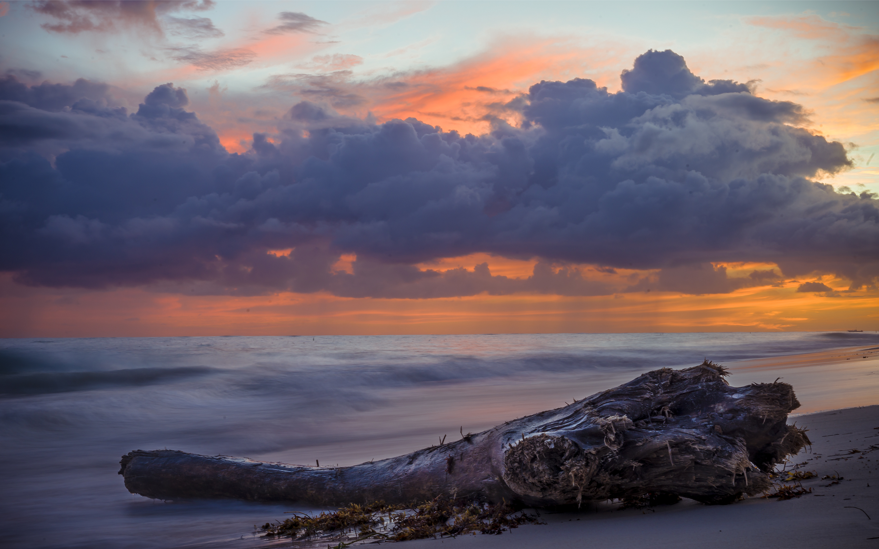 Download - HD Wallpaper 