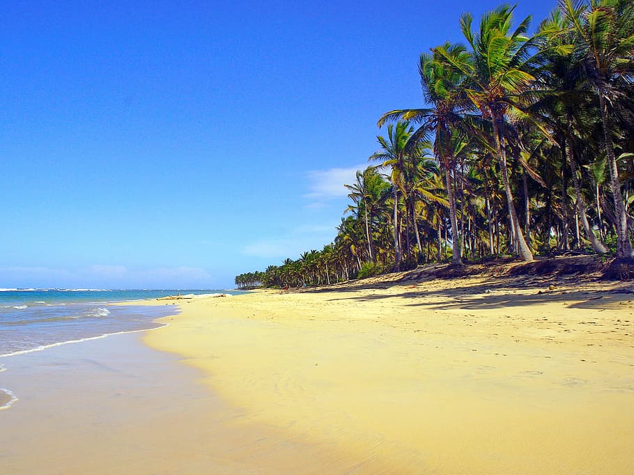 Dominican Republic, Punta Cana, Beach, Coconut Trees, - Dominikanische Republik Schönster Strand - HD Wallpaper 