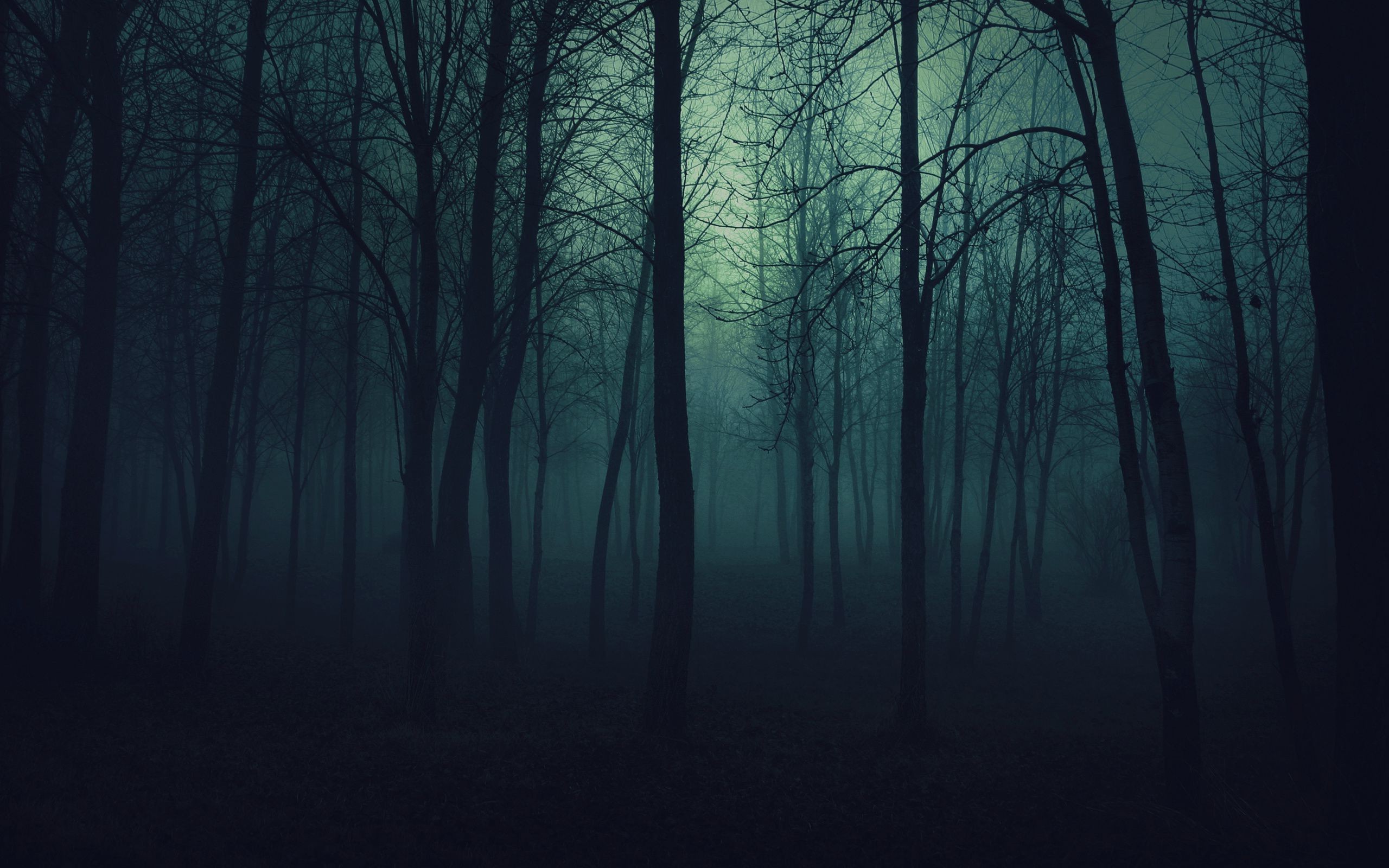 Darkness Background - HD Wallpaper 