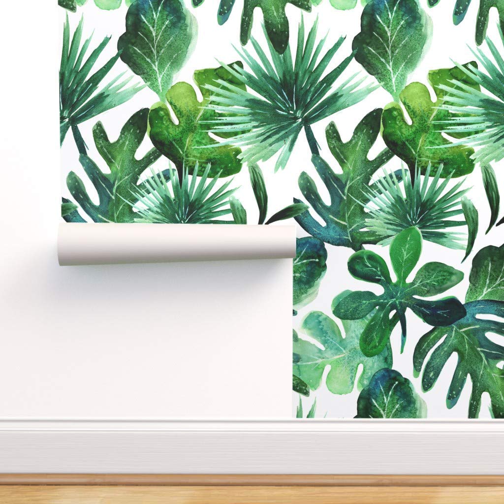 Monstera - HD Wallpaper 