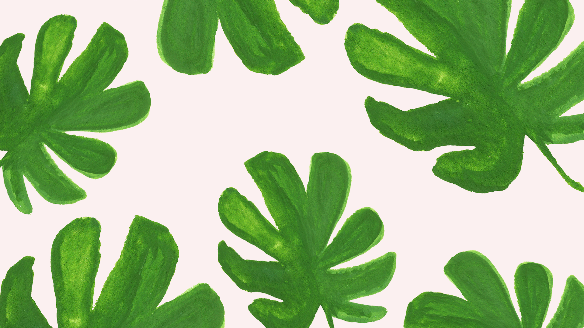 Monstera Hd Desktop Background - HD Wallpaper 