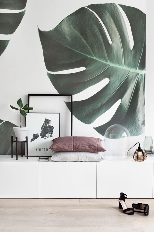 Murals Wallpaper Monstera 600x902 Wallpaper teahub.io