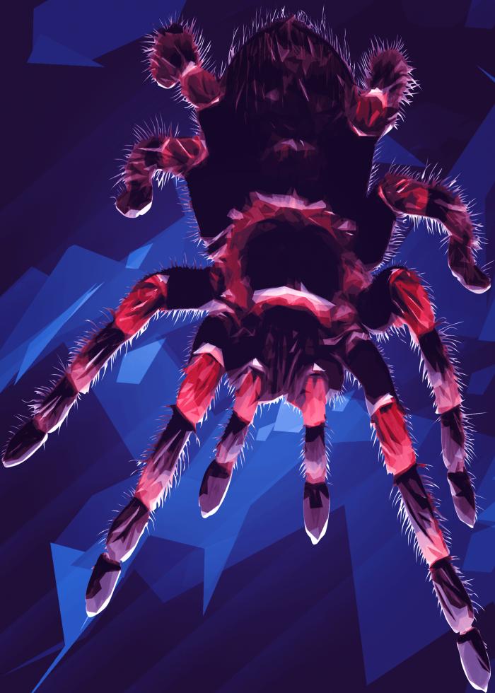 Spider Lowpoly Art Download - Crab - HD Wallpaper 