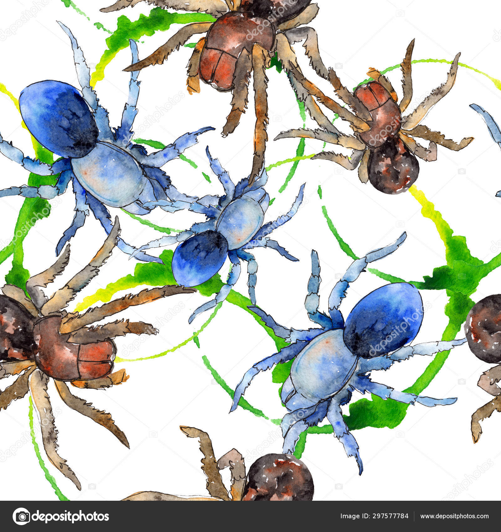 Tarantula Spider Exotic Spider - HD Wallpaper 