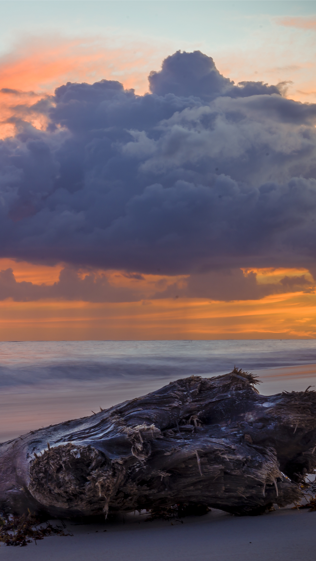 Download - HD Wallpaper 