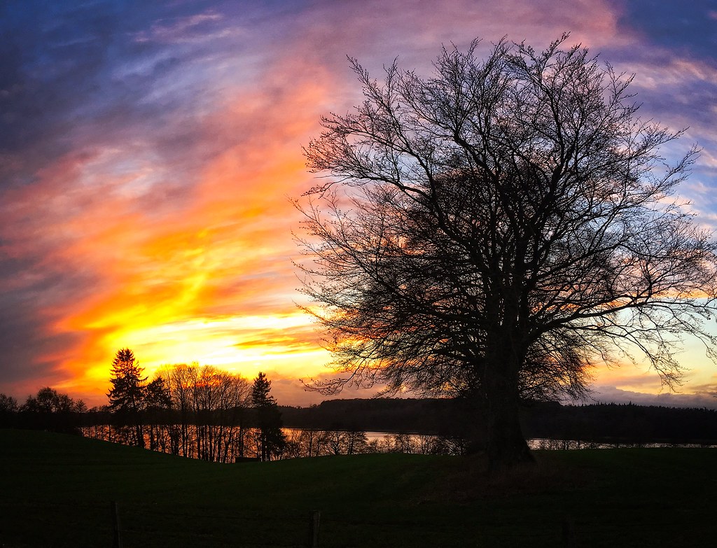 Sunset - HD Wallpaper 