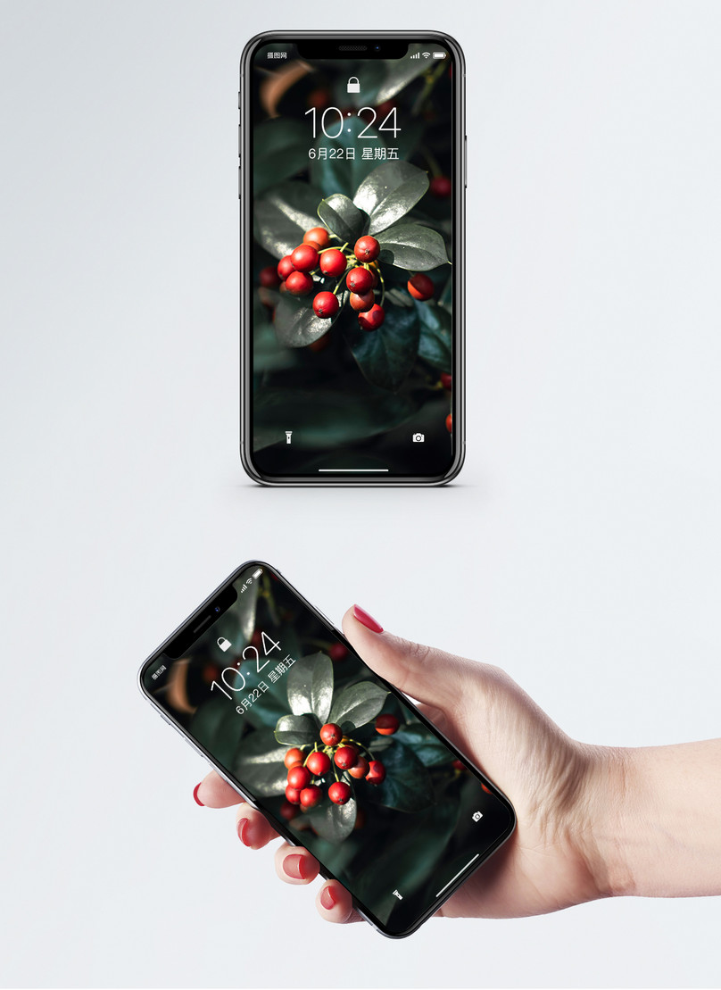 Plant Tibia Mobile Phone Wallpaper - Hình Nền Điện Thoại Tiền - HD Wallpaper 