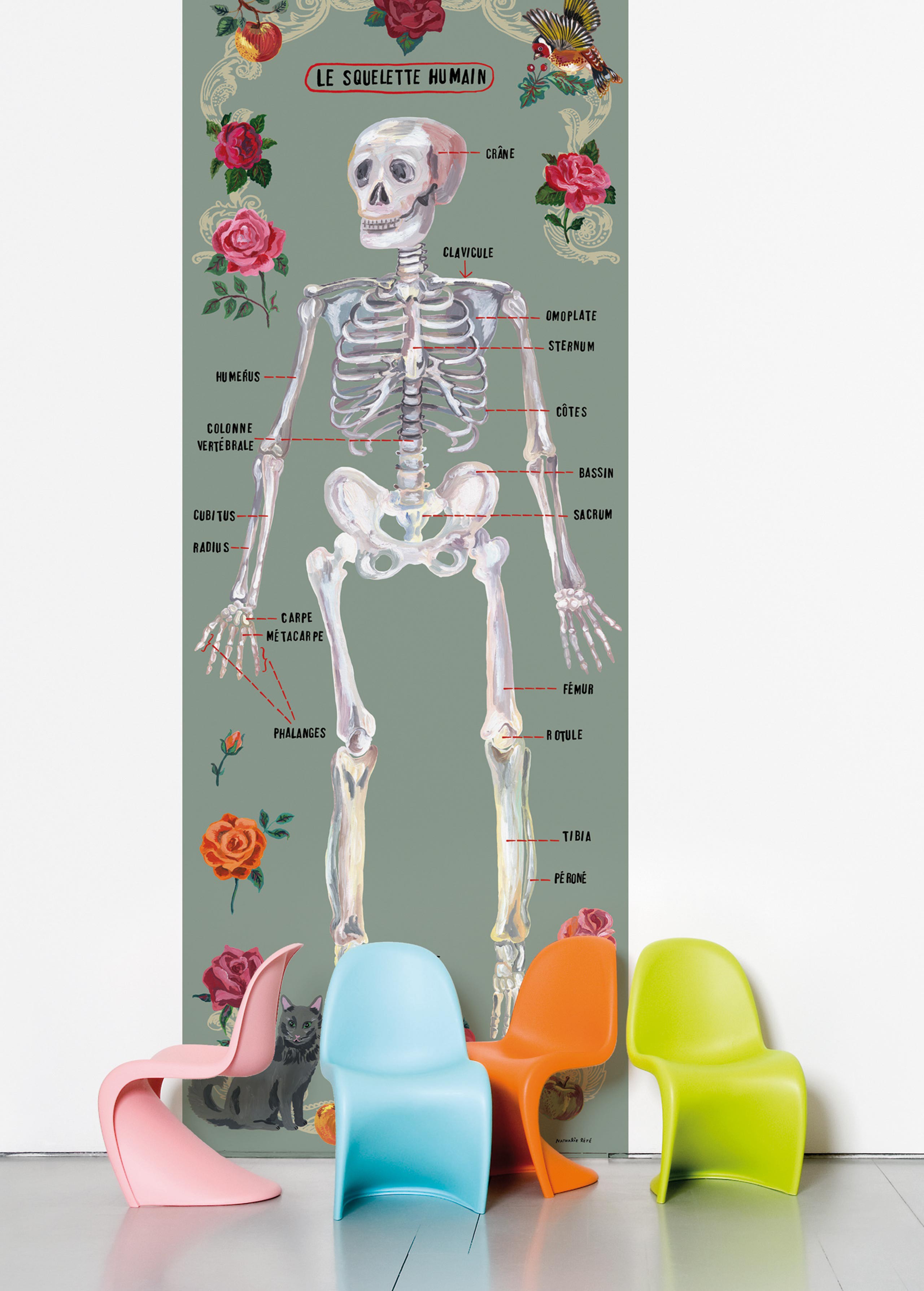 Skeleton Nathalie Lete - HD Wallpaper 