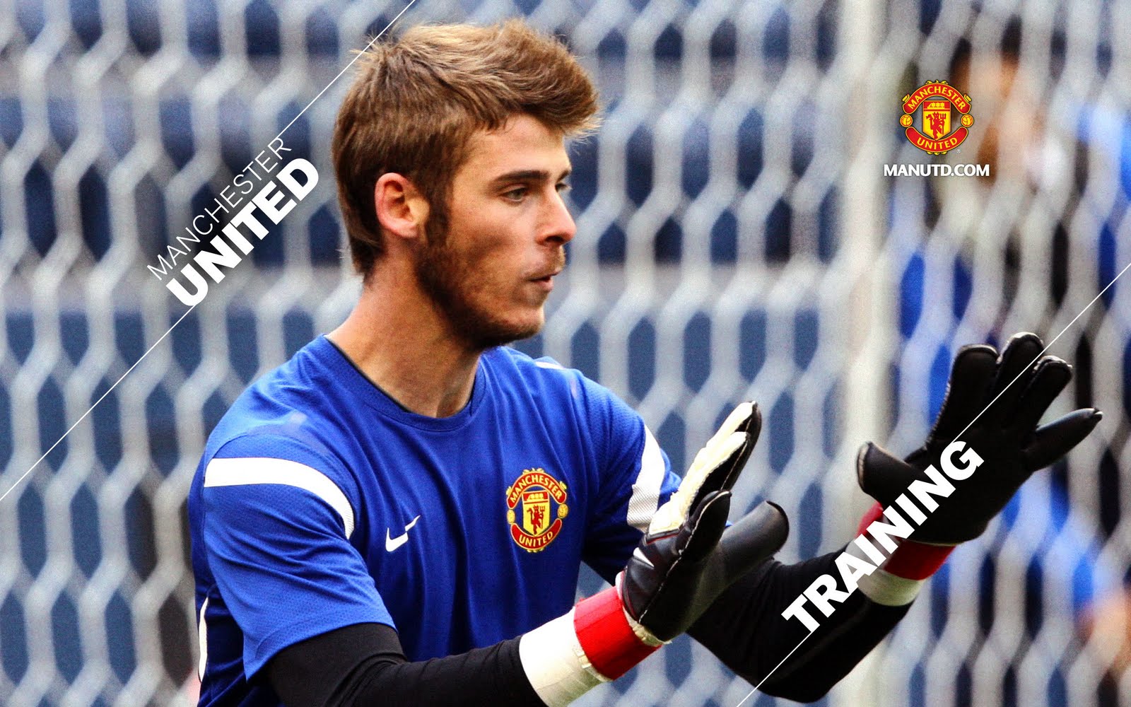 David De Gea Manchester United - HD Wallpaper 