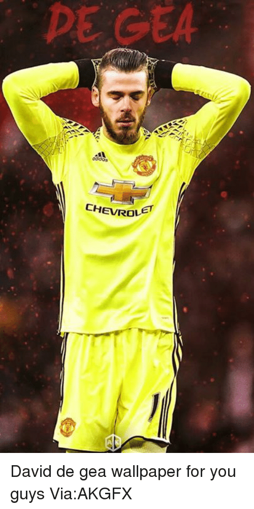 Memes, Wallpaper, And Wallpapers - Manchester United - HD Wallpaper 