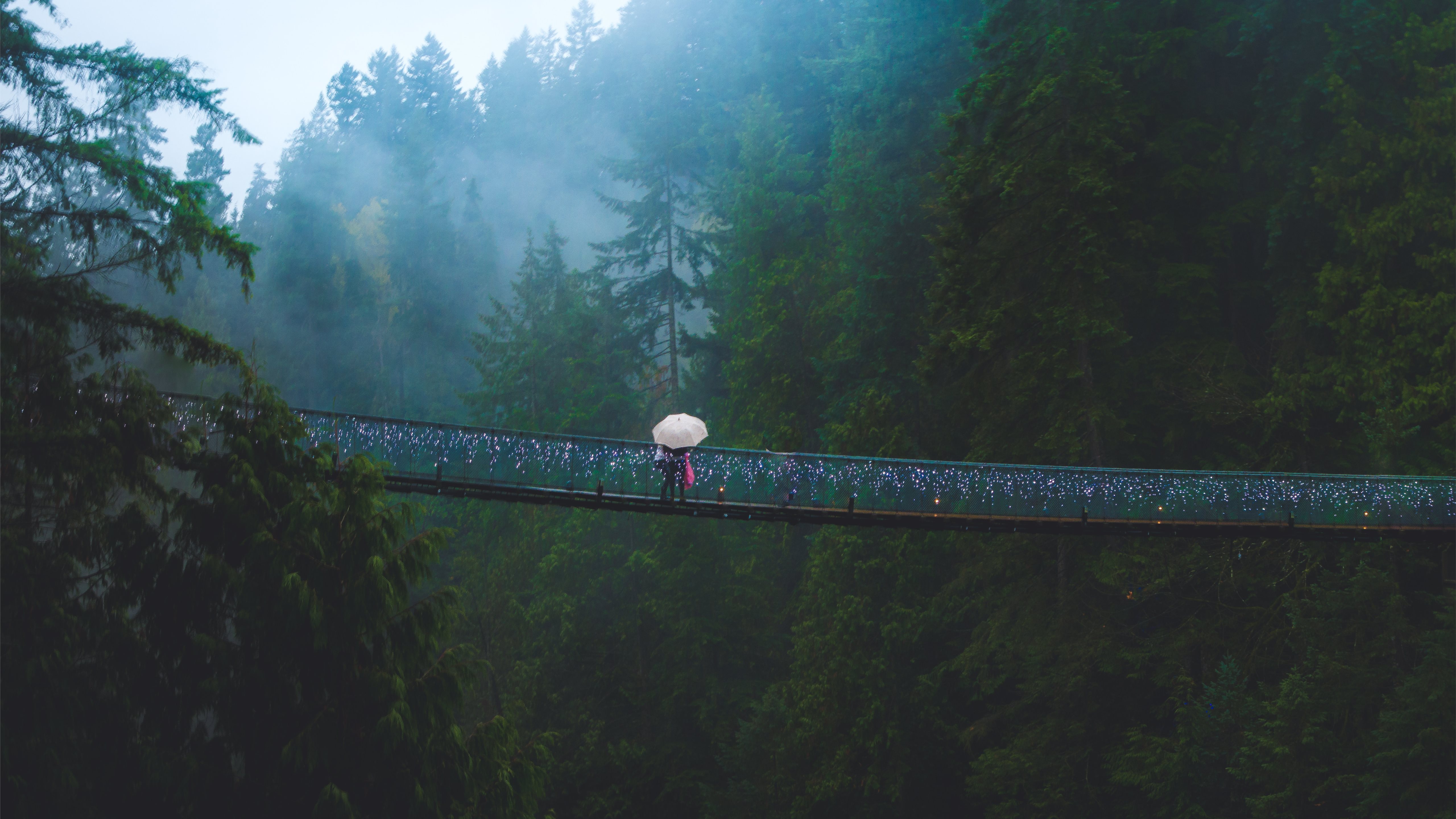 Capilano Suspension Bridge Hd - HD Wallpaper 