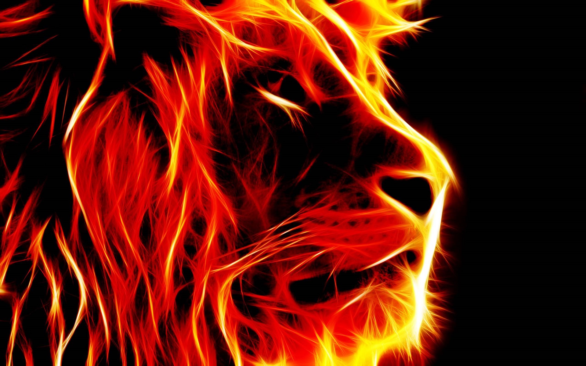 Fire Lion - HD Wallpaper 